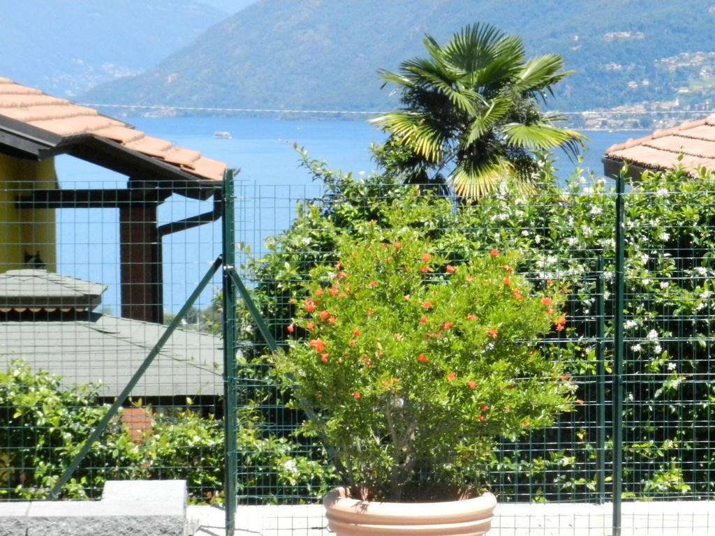 Apartmán Casa Elena 1 Germignaga Exteriér fotografie